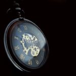 Scuba & Freediving Gear: Evolution Through the Decades