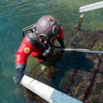 Scuba & Freediving Gear: Evolution Through the Decades